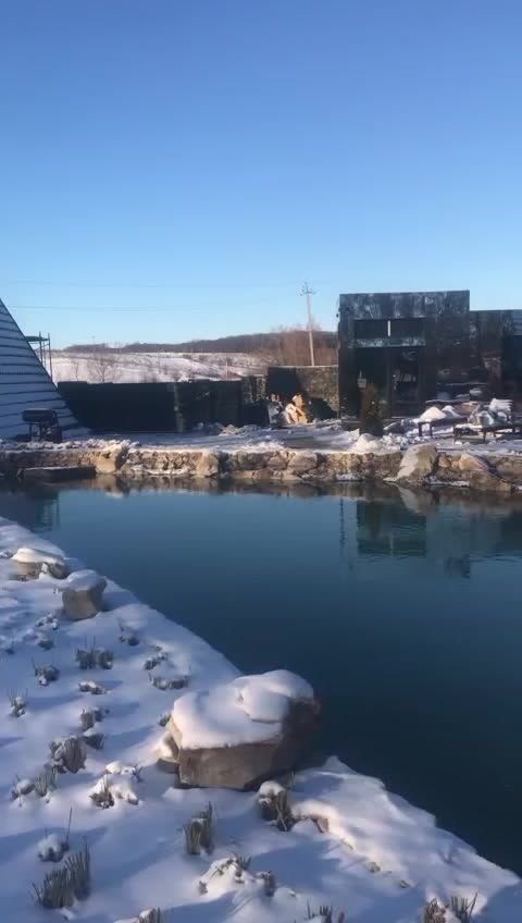 Відображення будиночків бази відпочинку у водоймі взимку